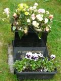 image of grave number 232736